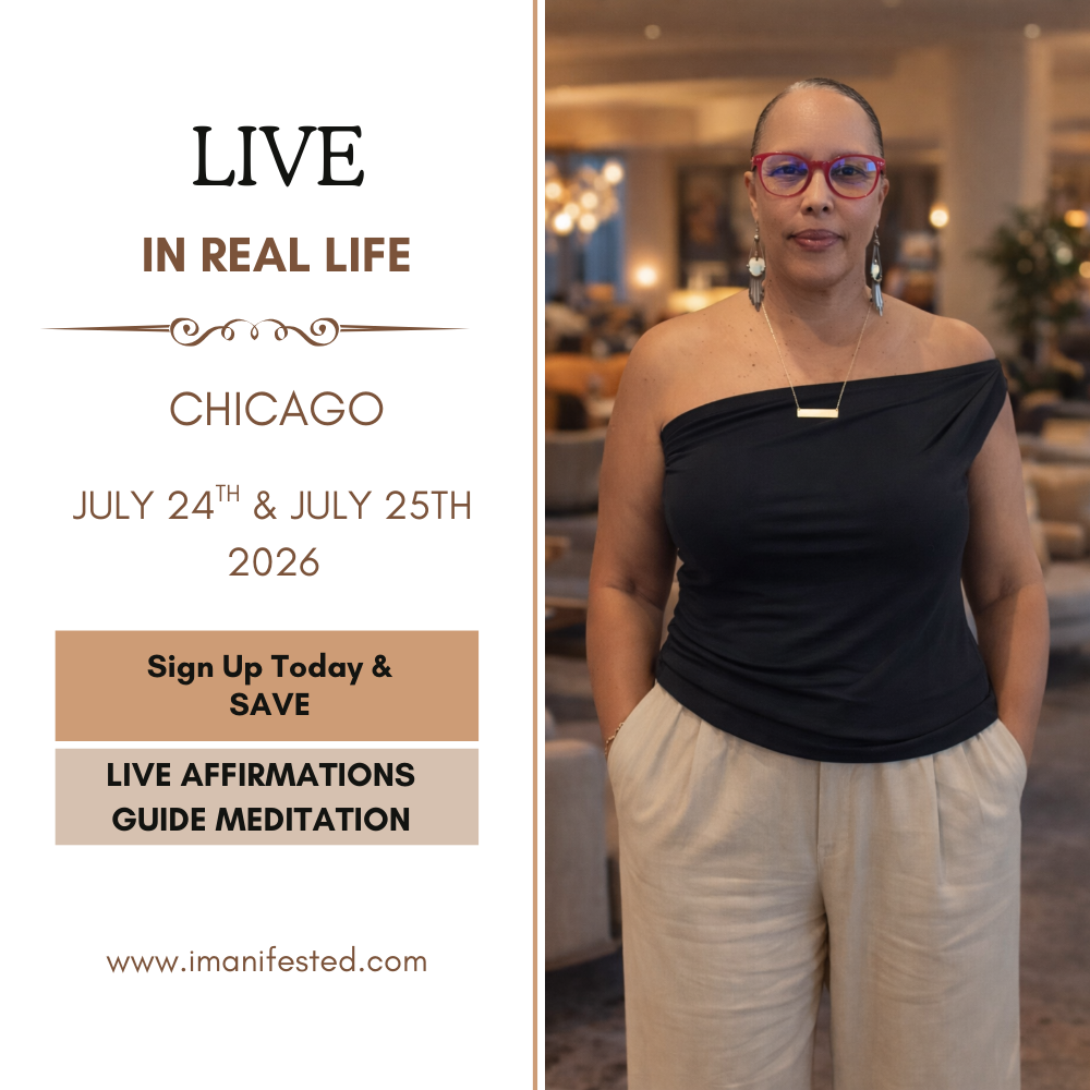 Live: In Real Life, Chicago Standard Experience
